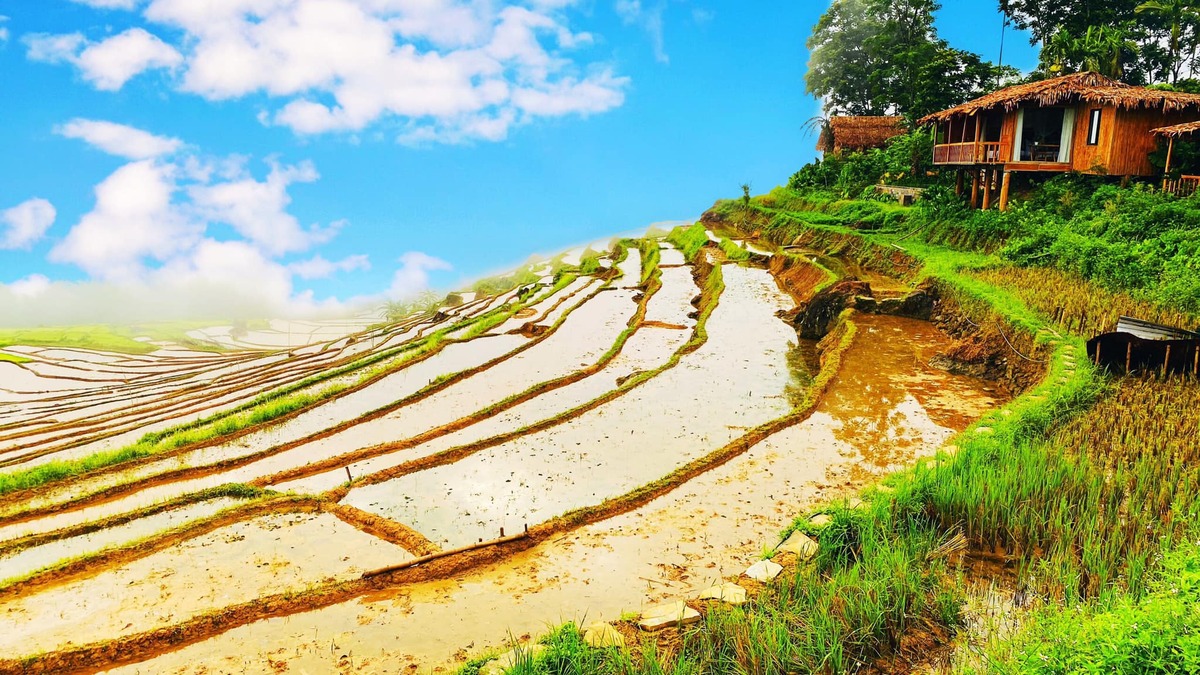 Chiêm ngưỡng tuyệt tác ruộng bậc thang Pù Luông 'đẹp như mơ' khi vào mùa nước đổ - ảnh 5