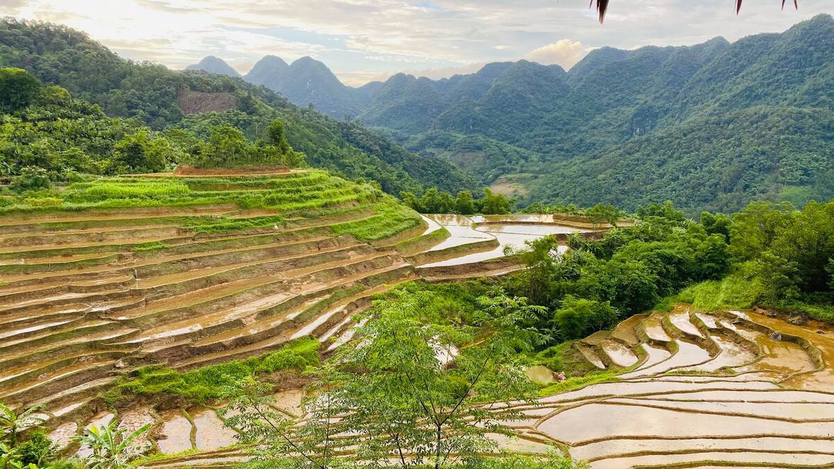 Chiêm ngưỡng tuyệt tác ruộng bậc thang Pù Luông 'đẹp như mơ' khi vào mùa nước đổ - ảnh 6