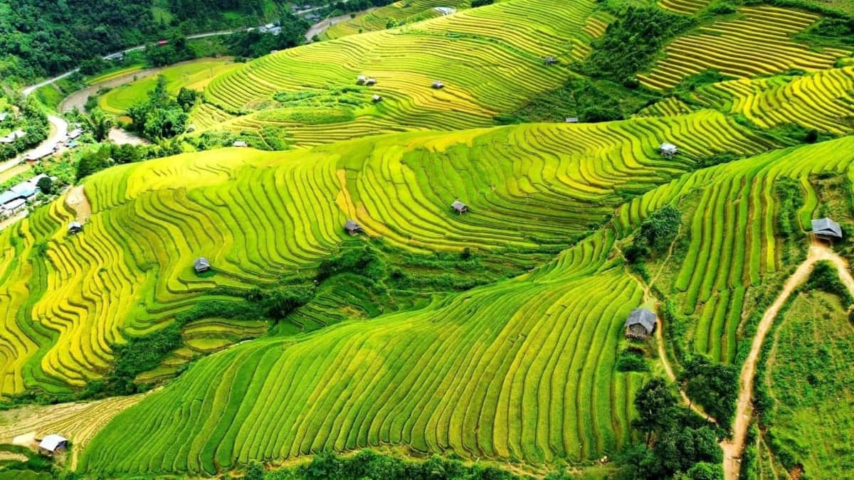 Kinh nghiệm du lịch Yên Bái dịp hè 2025: Những lưu ý khi đi chơi mùa nước đổ - ảnh 1