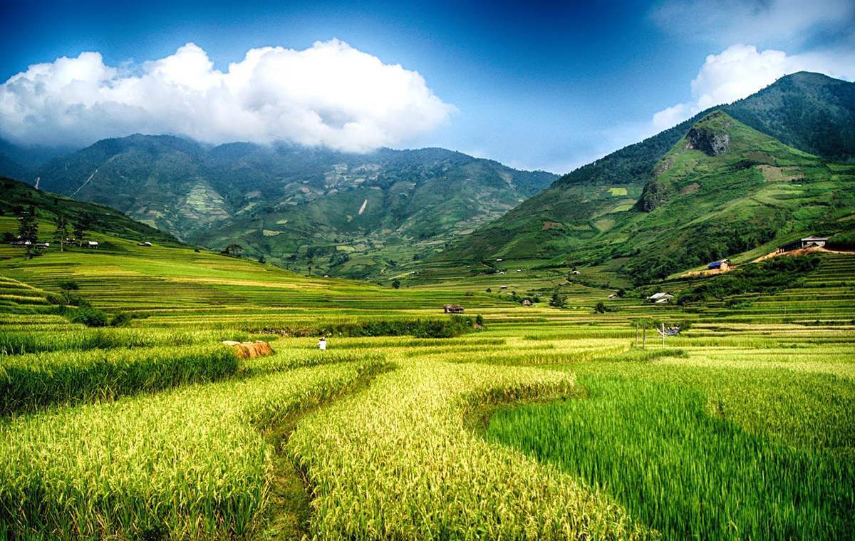 Kinh nghiệm du lịch Yên Bái dịp hè 2025: Những lưu ý khi đi chơi mùa nước đổ - ảnh 5