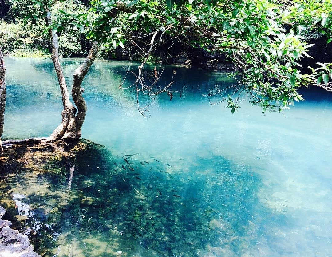 Chiêm ngưỡng màu xanh đặc biệt của con suối nổi tiếng nhất Cao Bằng ai cũng từng nghe tên - ảnh 1