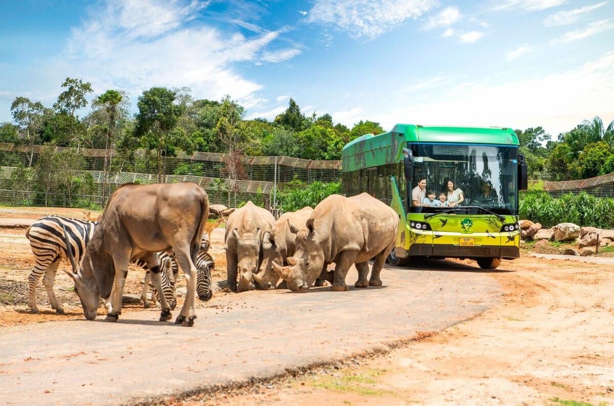 Tour du lịch Phú Quốc trong ngày tại Bắc Đảo: Lạc bước vào thế giới bán hoang dã Vinpearl Safari - ảnh 1