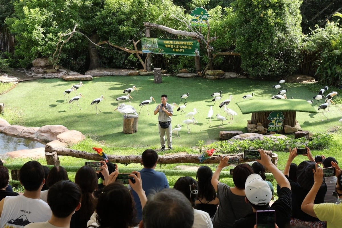 Tour du lịch Phú Quốc trong ngày tại Bắc Đảo: Lạc bước vào thế giới bán hoang dã Vinpearl Safari - ảnh 2