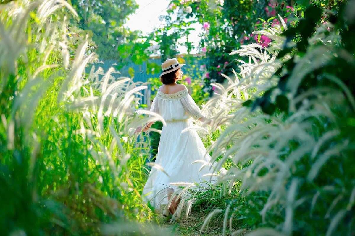 Sắc tím tường vi phủ nét thơ cho công viên ven đô Hà Nội - ảnh 2