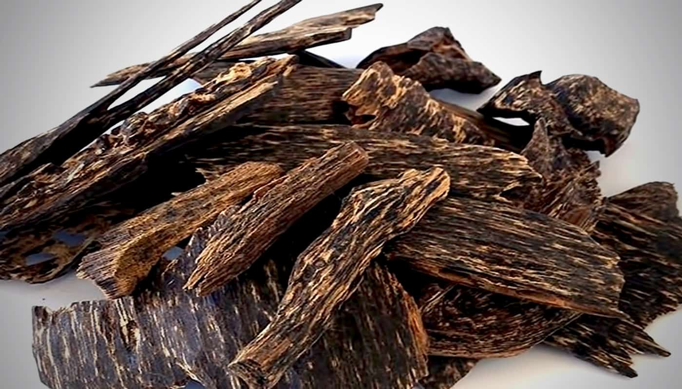 Trong đó, ba loại phổ biến thường được nhắc đến gồm Kỳ Nam, trầm hương tự nhiên và trầm tốc (Ảnh: Internet)