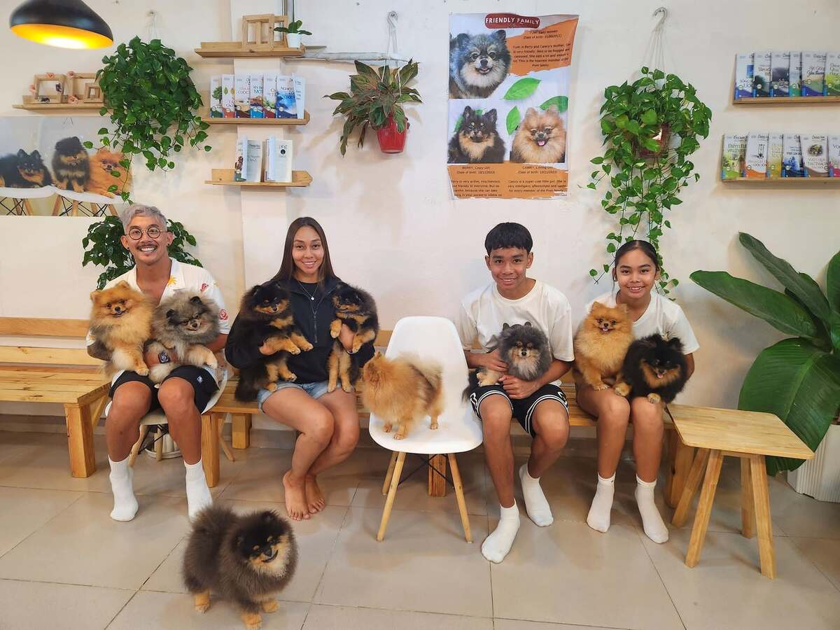 Giang Pomeranian House (Nguồn: Internet)