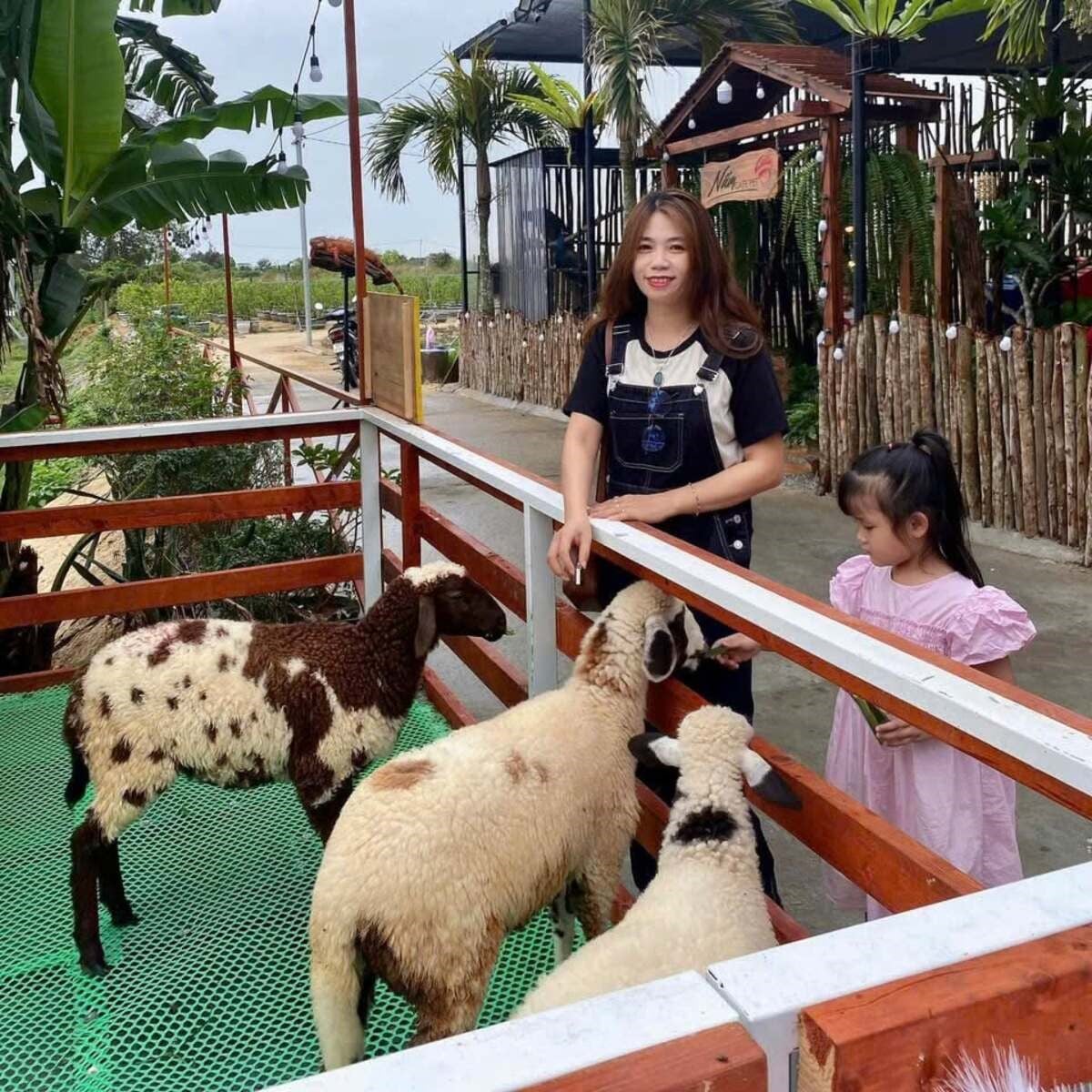 Du khách tại Nấm Cafe PET Hội An (Ảnh: Nấm Cafe PET Hội An)
