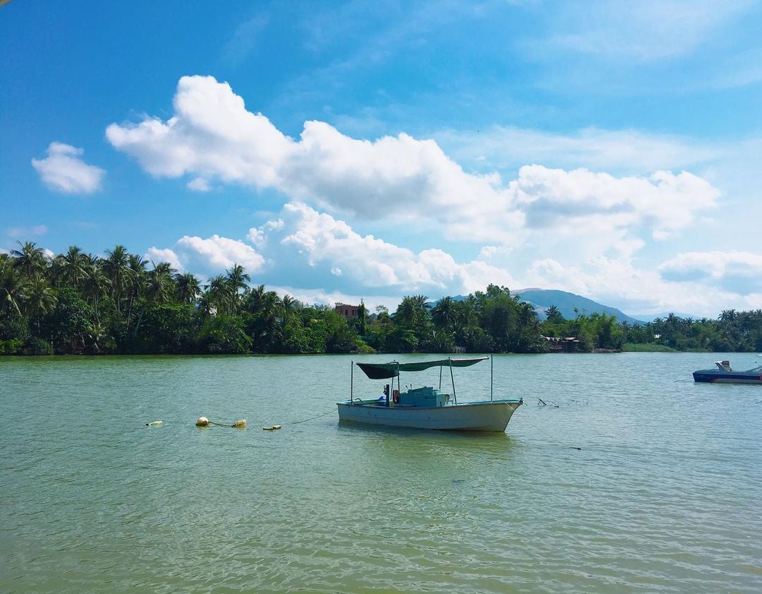 Đến đây, du khách có thể ngồi thuyền dạo sông, thưởng thức nước dừa mát lành, tự tay hái trái cây trong vườn, câu cá hoặc chèo ghe thư giãn (Ảnh: Internet)