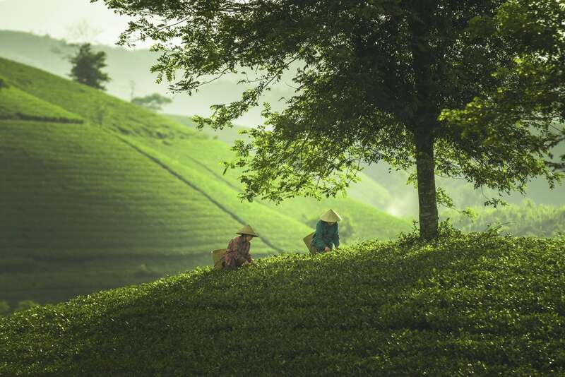Bên cạnh hoạt động quảng bá, tỉnh cũng sẽ phát động chương trình “Xây dựng môi trường du lịch Phú Thọ văn minh - xanh - sạch - đẹp” (Ảnh: Internet)