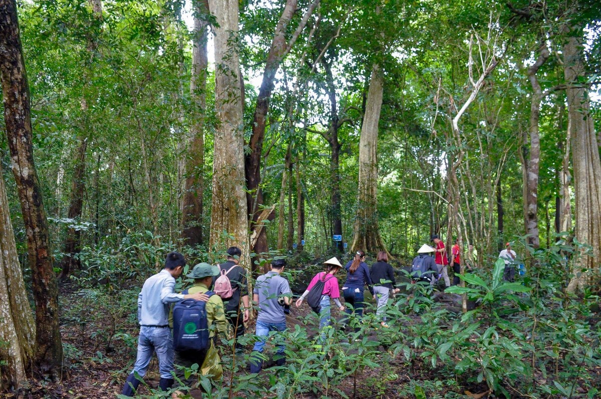 Tour thám hiểm rừng Cát Tiên 'cháy vé' đến cuối năm nhờ mô hình trải nghiệm độc lạ - ảnh 1