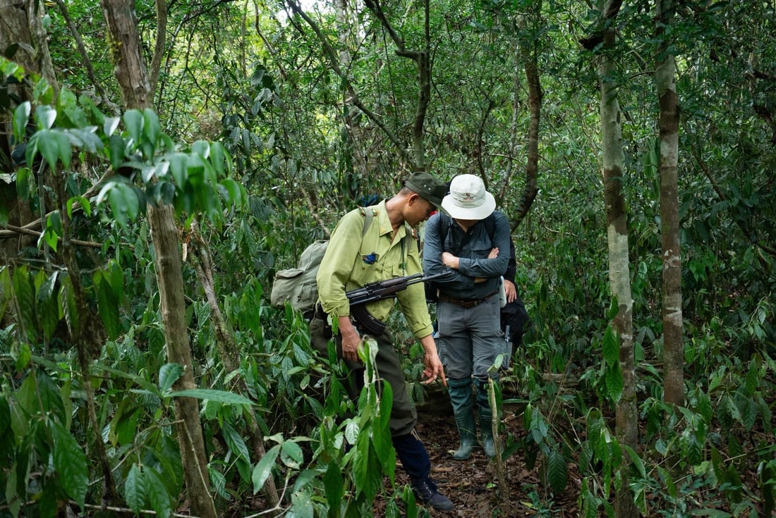 Tour thám hiểm rừng Cát Tiên 'cháy vé' đến cuối năm nhờ mô hình trải nghiệm độc lạ - ảnh 2