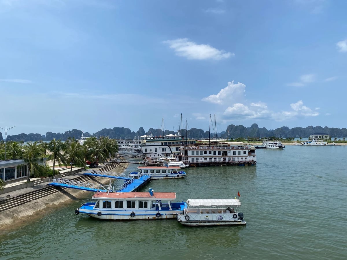 Ứng phó bão số 1, Quảng Ninh cấm biển, Cô Tô dừng hoạt động tham quan đảo - ảnh 1