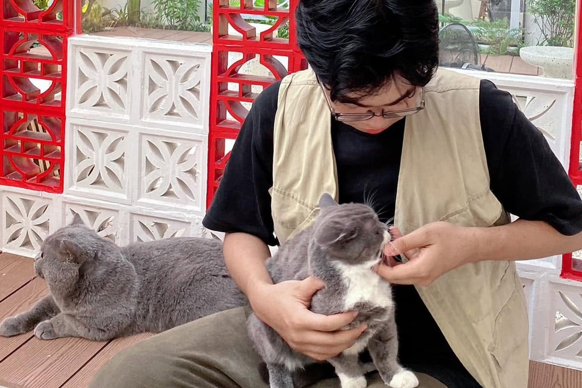Cafe mèo Nha Trang: Gợi ý những địa chỉ cực chill cho “con sen” - ảnh 1
