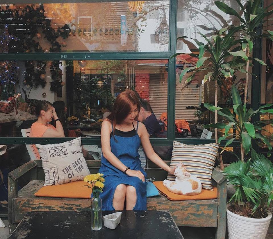 Đây là nơi bạn có thể ghé vào để nghỉ chân, gọi một ly đồ uống yêu thích và tận hưởng khoảng thời gian thư giãn bên những bé mèo đáng yêu (Ảnh: Internet)