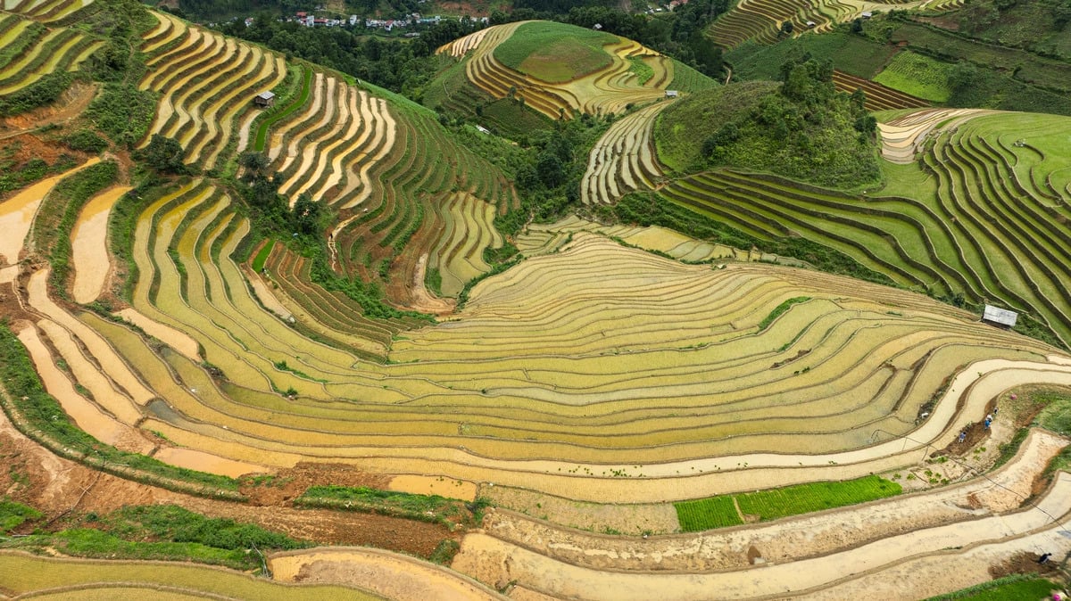 Ảnh: Phạm Đối