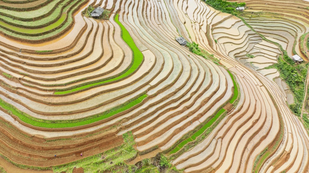 Ảnh: Phạm Đối