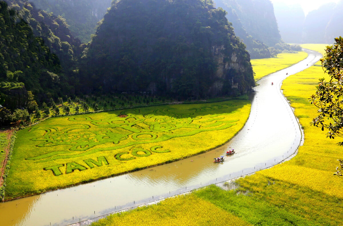 Sông Ngô Đồng Ninh Bình (Ảnh: iVIVU)