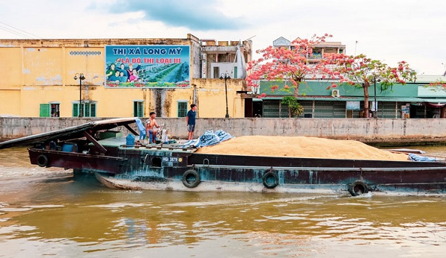 Vận chuyển lúa ở đồng bằng sông Cửu Long.