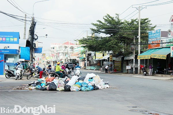 Rác thải sinh hoạt chất đống giữa ngã ba đường Bùi Phúc Chu và đường Bùi Trọng Nghĩa vào sáng 24-8