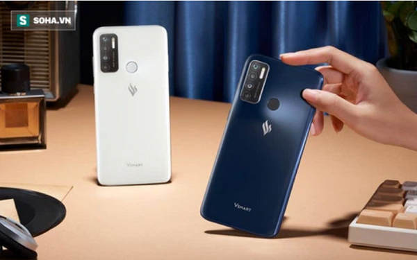 vin1
