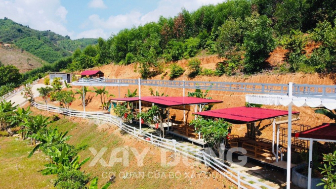 Chủ đất xin trồng tre tầm vông, nhưng giờ đã “biến tướng”.