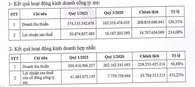 Kết quả hoạt động kinh doanh quý 1/2021 của DIC Corp. (Nguồn: dic.vn)