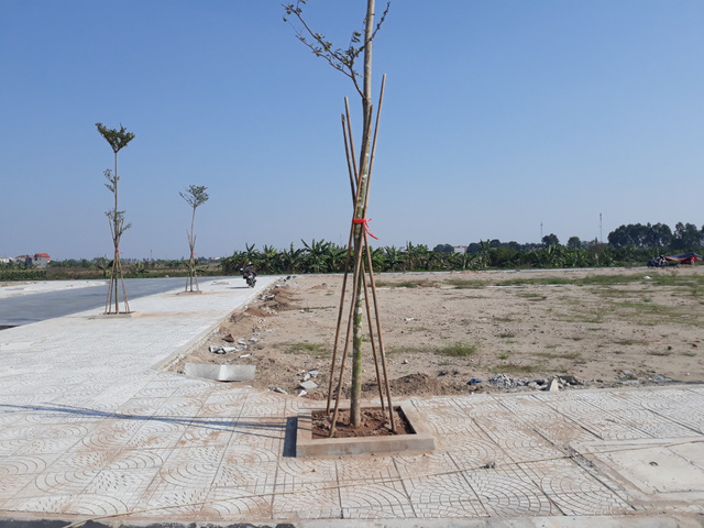 Nhiều lô đất đấu giá tại Hải Dương được rao bán với mức chênh 100-150 triệu đồng ngay sau khi phiên đấu giá kết thúc.