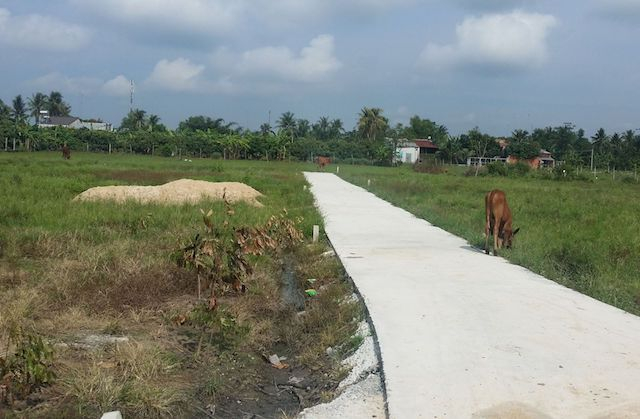 UBND tỉnh Bà Rịa – Vũng Tàu yêu cầu xử nghiêm trường hợp tự mở đường giao thông để phân lô bán nền đất nông nghiệp.