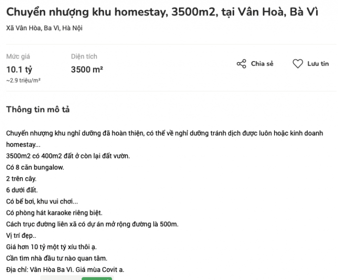 Thông tin rao bán khu homestay.