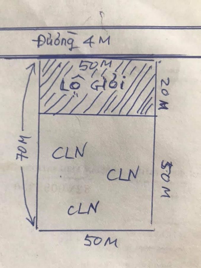 bnm