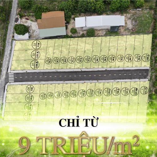 Chủ của các khu đất này đã ủy quyền cho công ty BĐS để