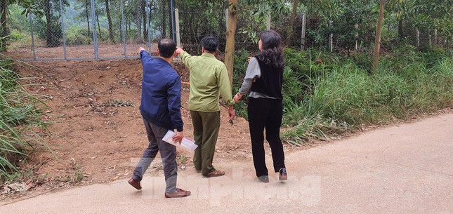 tp-gia-batdong-san-khong-tang-theo-thong-tin-quy-hoach-hoi09-2192