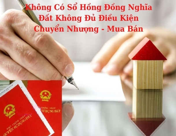 khong-co-so-hong-dong-nghia-dat-khong-du-dieu-kien-chuyen-nhuong-mua-ban