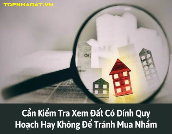 kiemtradatcodinhquyhoachkhong