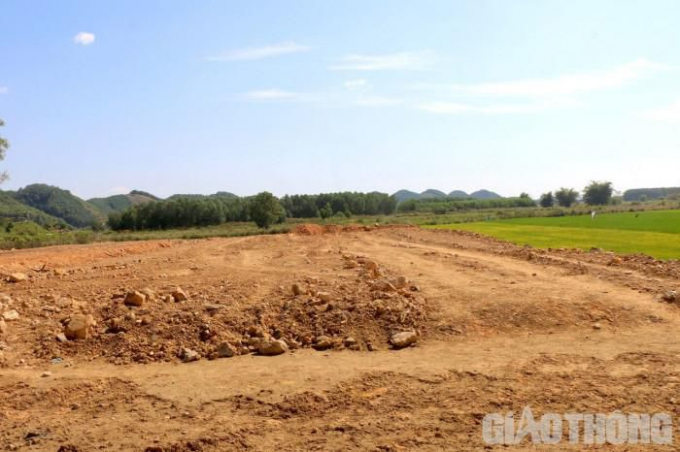 Hàng chục hécta đất trồng lúa được san lấp trái phép