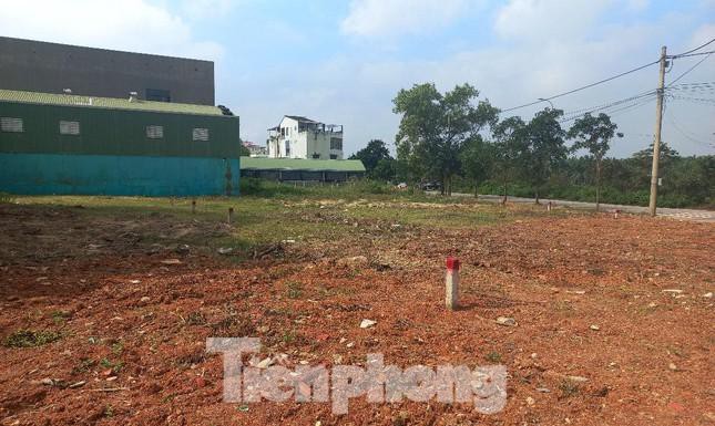 Các lô đất từng tấp nập môi giới và nhà đầu tư đến xem ở TP. Đông Hà (Quảng Trị) nay đìu hiu, ít người qua lại.