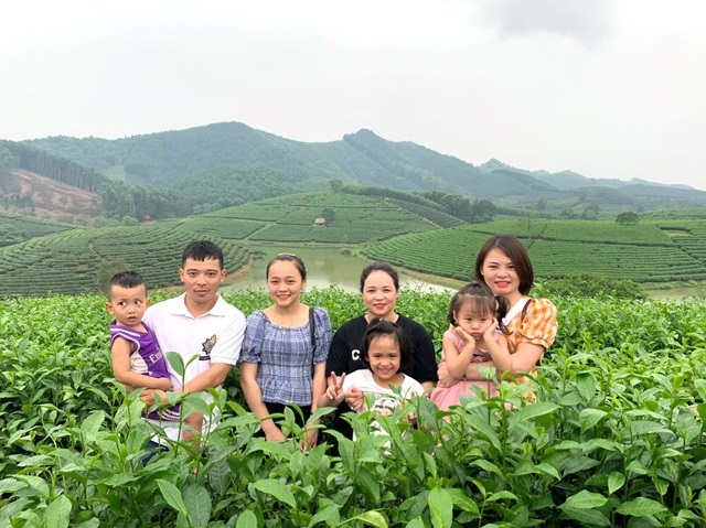 Khu vực đảo chè huyện Thanh Chương mỗi năm thu hút từ 40.000-50.000 lượt khách.