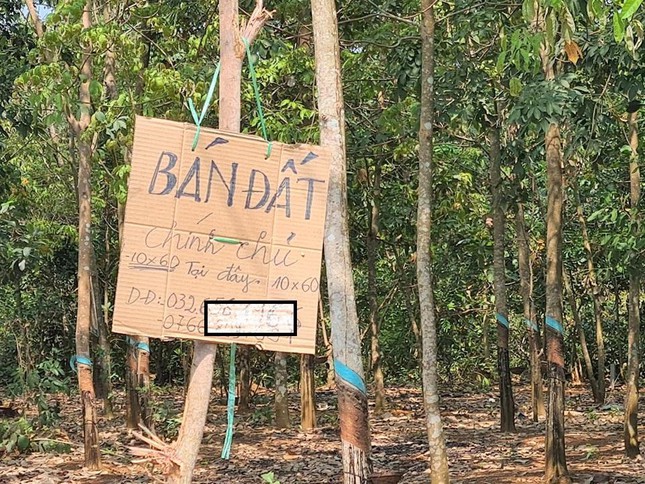 Nhiều khu đất nông nghiệp ở Bình Phước được rao bán khi cơn sốt đất ảo rộ lên