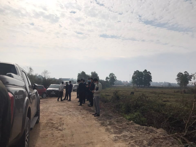 Khoảng 2 tuần nay, nườm nượp ô tô lớn nhỏ của giới buôn đất đổ về Móng Cái N.H