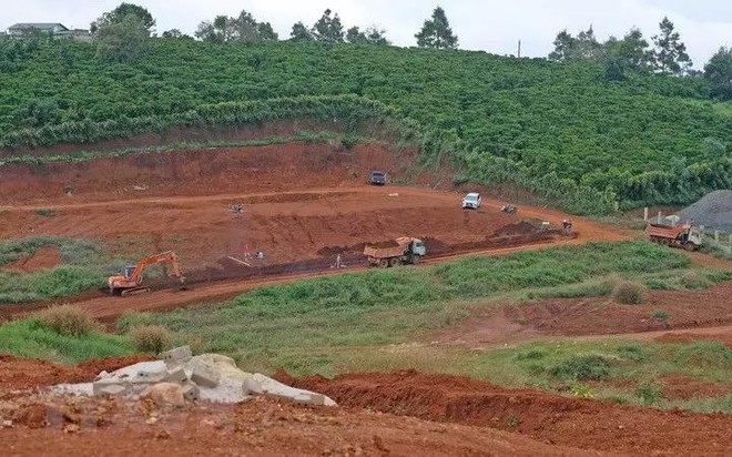 Chủ tịch UBND các tỉnh, thành phố trực thuộc Trung ương chỉ đạo kiểm tra và xử lý nghiêm các trường hợp san ủi đồi núi để phân lô, bán nền, xây dựng trên đất rừng trái quy định pháp luật