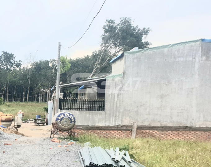 Cận cảnh một căn nhà cấp 4 được xây dựng trên thửa đất trồng lúa (thửa 126, tờ 19) tại khu phố Tân Lập, phường Phước Tân, Tp. Biên Hòa