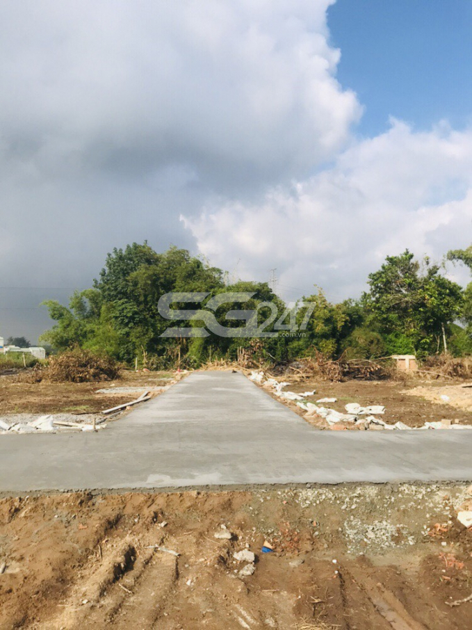 Ghi nhận thực tế hình ảnh đường bê tông trong khu đất thuộc tờ bản đồ số 85 các thửa 93, 111, 112 vào tháng 11/2019.