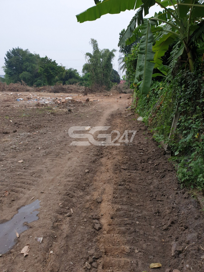 Ghi nhận thực tế vào tháng 11/2019, hình ảnh đường đi nội bộ đã được san gạt, chưa đổ bê tông