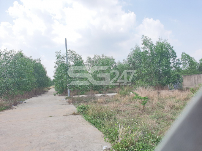 Hình ảnh con đường bê tông là lối đi chính trong khu đất thuộc tờ bản đồ số 24, thửa đất số 168, 169 khu phố Tân Lập, phường Phước Tân, Tp. Biên Hòa