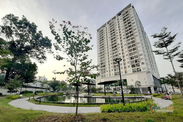 Doanh thu cho thuê căn hộ trong 1 năm dương lịch hơn 100 triệu đồng, cá nhân mới phải nộp thuế.