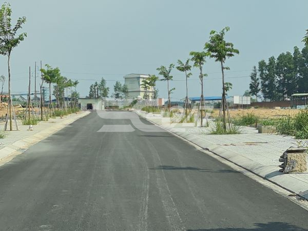 Hình ảnh về hạ tầng (đường, vỉa hè,...) trong dự án PNR ESTELLA