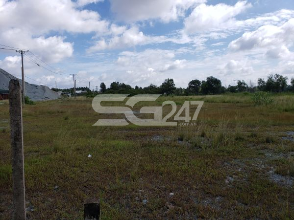 Toàn cảnh thửa đất 15, tờ 33 mà công ty Thiện Minh đã chuyển nhượng cho công ty Quang Châu hiện đang bị bỏ hoang.