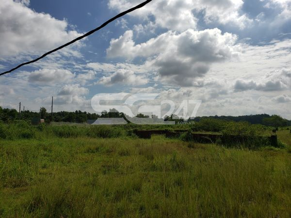Một góc ảnh về thửa đất 14 tờ 33 tại phường Bửu Hòa, thành phố Biên Hòa bị bỏ hoang.