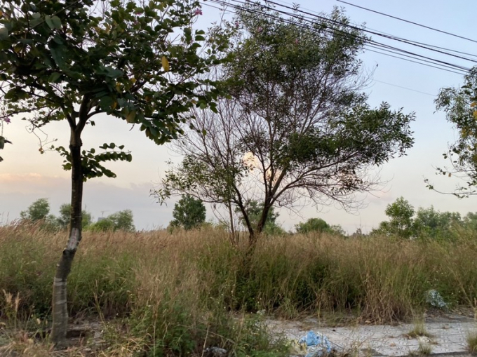 vi-sao-amata-bien-hoa-van-bo-hoang-243-ha-dat-xay-chung-cu-hinh-30
