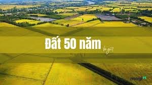 62e31cc7-6622-4c31-8430-5758c34f6a8b